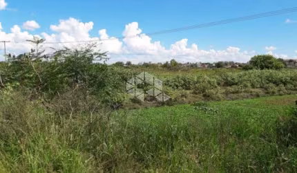Terreno Comercial À Venda, Fragata, Pelotas.