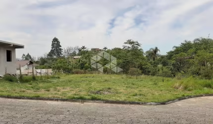 LOTE EM LOTEAMENTO COM INFRAESTRUTURA COMPLETA EM AREAIS DO MEIO