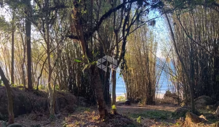 TERRENO NO BAIRRO DANIELA, EM FLORIANÓPOLIS, SC, MEDINDO 1,485M² DE ÁREA TOTAL.