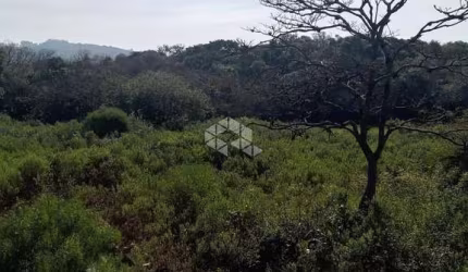 Terreno a venda no Bairro Lomba do Pinheiro em Porto Alegre.