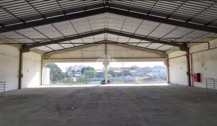 Pavilhão e depósito amplo na zona norte, próximo ao triangulo da Assis Brasil.