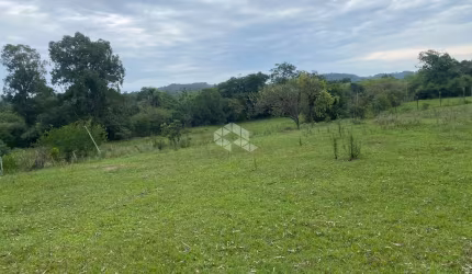 Chacara 7 hectares - Galpão, 4 cocheiras. Lami-Canta Galo