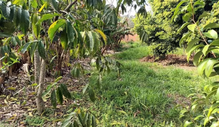 Terreno a venda