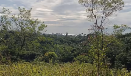 Sítio para Venda em Balneário Piçarras, NOSSA SENHORA DA CONCEIÇÃO, 16 dormitórios, 8 banheiros, 6 vagas