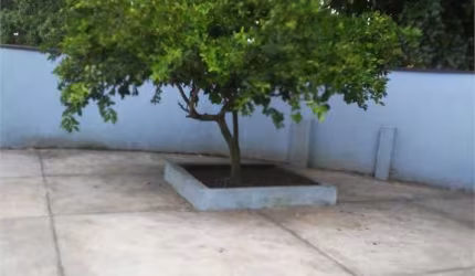 Casa térrea a venda, com 3 quartos no centro de Peruíbe SP
