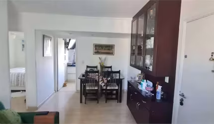Apartamento a venda Edificio Luciana 48m²  Jardim São Paulo- Tucuruvi