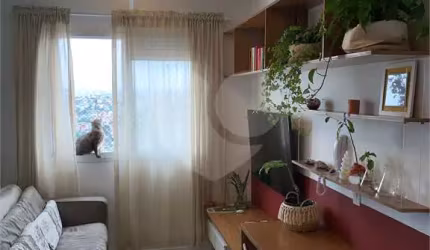 lindo apartamento no Campo Limpo