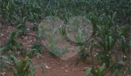 TERRENO a venda 720m²