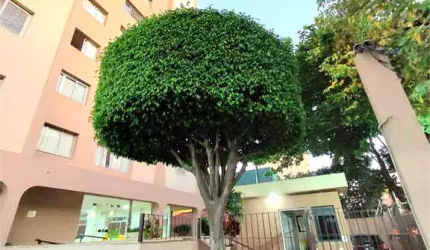 Apartamento a venda no Sacomã