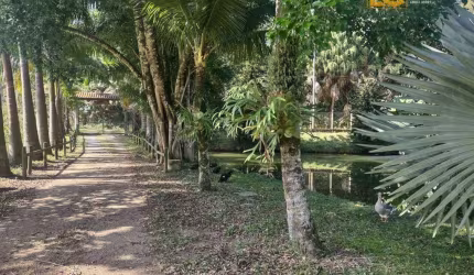Chácara com 4 dormitórios à venda, 37.800 m² por R$ 1.450.000