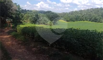 Terreno à venda em Mato Dentro - PR