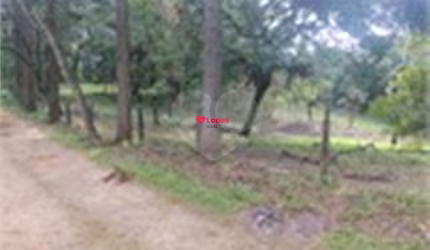 Terreno à venda em Mato Dentro - PR
