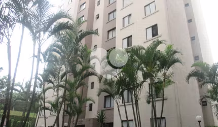 Apartamento com 2 quartos à venda em Vila Santa Catarina - SP