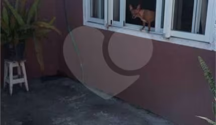Casa com 3 quartos à venda em Guarituba - PR