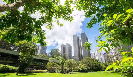 Apartamento com 3 quartos à venda em Vila Suzana - SP