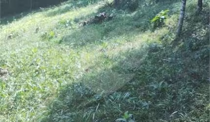 Chácara à venda em Área Industrial - PR