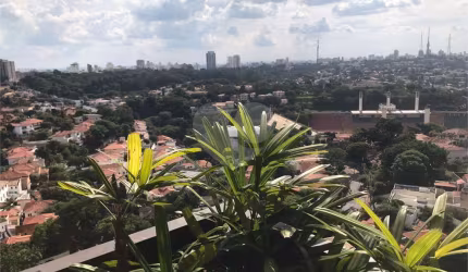 Apartamento com 3 quartos à venda em Higienópolis - SP