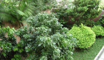 PACAEMBU LINDA VISTA !!