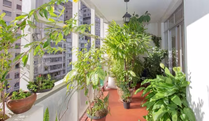 Apartamento lindo, 03 dormitorios - 01 vaga com jeitão de casa e excelente localização!