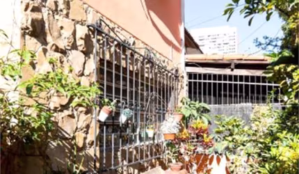 Sobrado comercial e residencial