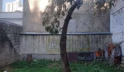 Terreno-São Paulo-PERDIZES | Ref.: REO819893