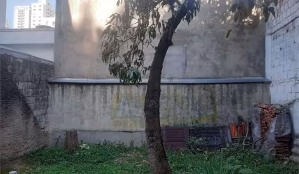 Terreno-São Paulo-PERDIZES | Ref.: REO819893