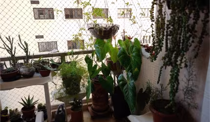 Apto 3 dormitórios  - JARDIM PAULISTA