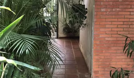 Sobrado em rua tranquila e arborizada na Vila Mariana