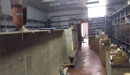 Comercial-São Paulo-ITAIM BIBI | Ref.: REO503422