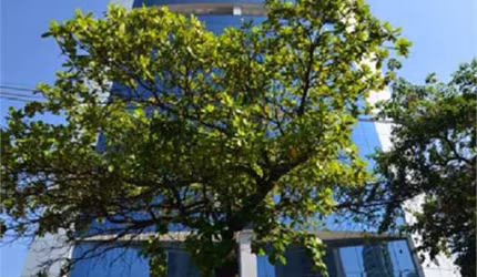 Comercial-São Paulo-BROOKLIN | Ref.: REO615384
