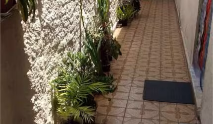 Casa a venda na Saúde OPORTUNIDADE UNICA