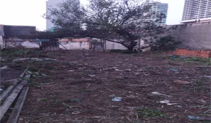 Terreno-São Paulo-BROOKLIN | Ref.: REO821427