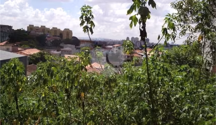 Terreno 269 m2 para Alugar ou Vender - Morumbi