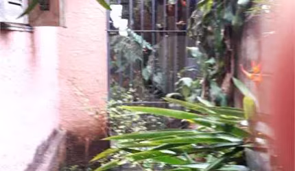Casa de vila . Vila Clementino