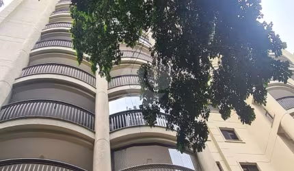 HYPE JARDINS