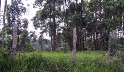 Área em Ibiúna