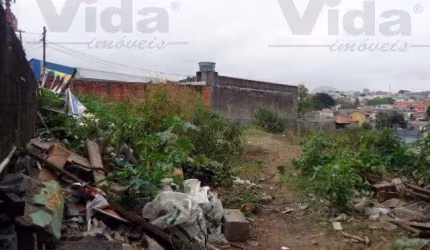 Terreno em Vila Yolanda  -  Osasco