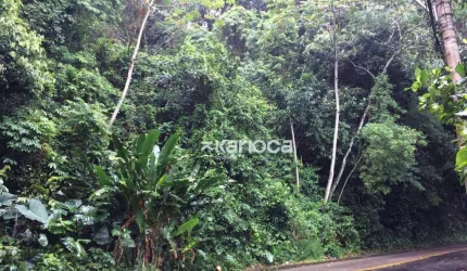 Terreno à venda, 1300 m² por R$ 2.000.000,00 - São Conrado - Rio de Janeiro/RJ
