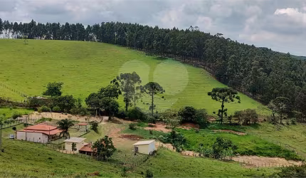 Sítio com 4 quartos à venda em Jardim Limão - SP