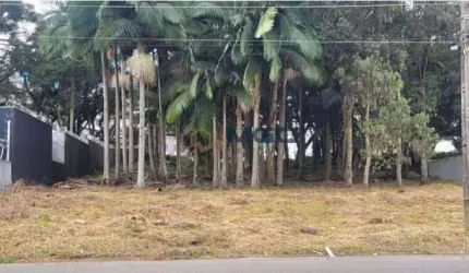 Terreno à venda no bairro Cidade Industrial - Curitiba/PR