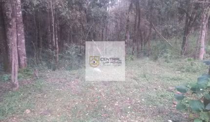 Área rural com 3.000 m² à venda em Mandirituba - PR, próximo a BR