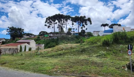 Terreno a venda no Santa Cândida - Curitiba