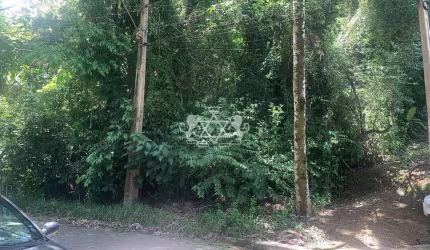 Terreno à venda, Siriúba, Ilhabela, SP