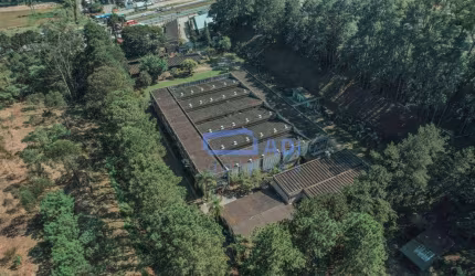 Galpão Industrial/Logístico Monousuário - Locação - 4.536 m² - Rod. Regis Bittencourt - Embu das Artes - SP