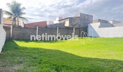 Venda Lote-Área-Terreno Parque Nova Carioba Americana