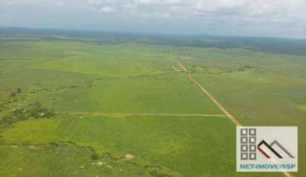 FAZENDA (27.000 hectares), CASA SEDE, CURRAL PARA MANEJO DE ANIMAIS. BOM JESUS DO ARAGUAIA, PÓLO DO AGRONEGÓCIO