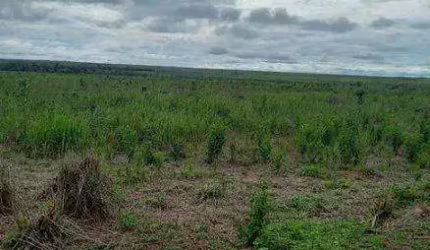 FAZENDA (8.880 hectares). ALTO POTENCIAL PARA AGROPECUÁRIA E LAVOURA