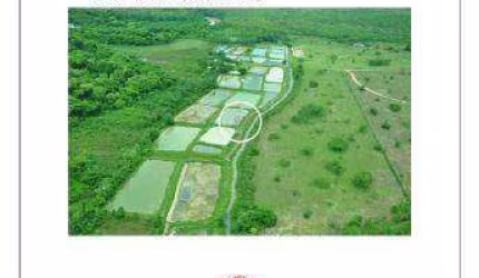FAZENDA (353 hectares) NO MUNICÍPIO DE NOBRES MT