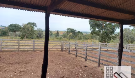 FAZENDA (324 Hectares), EM VARGEM GRANDE MT