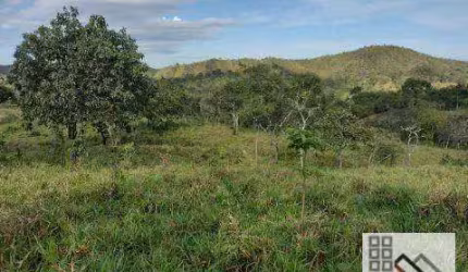 FAZENDA (59 Alqueires). RFEGIÃO COM GRANDE POTENCIAL PARA AGROPECUÁRIA